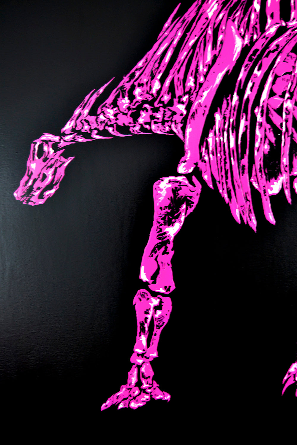 AMARGASAURUS