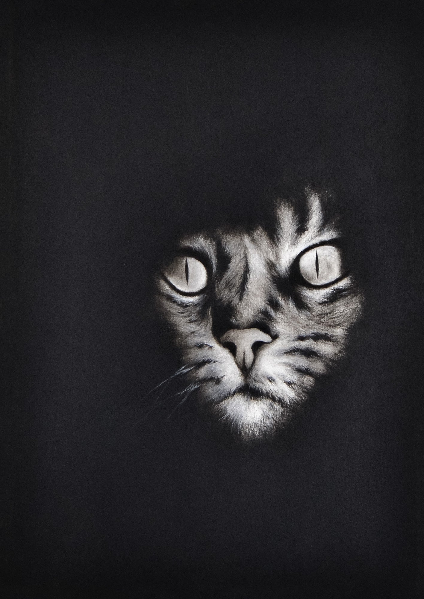 El Gato