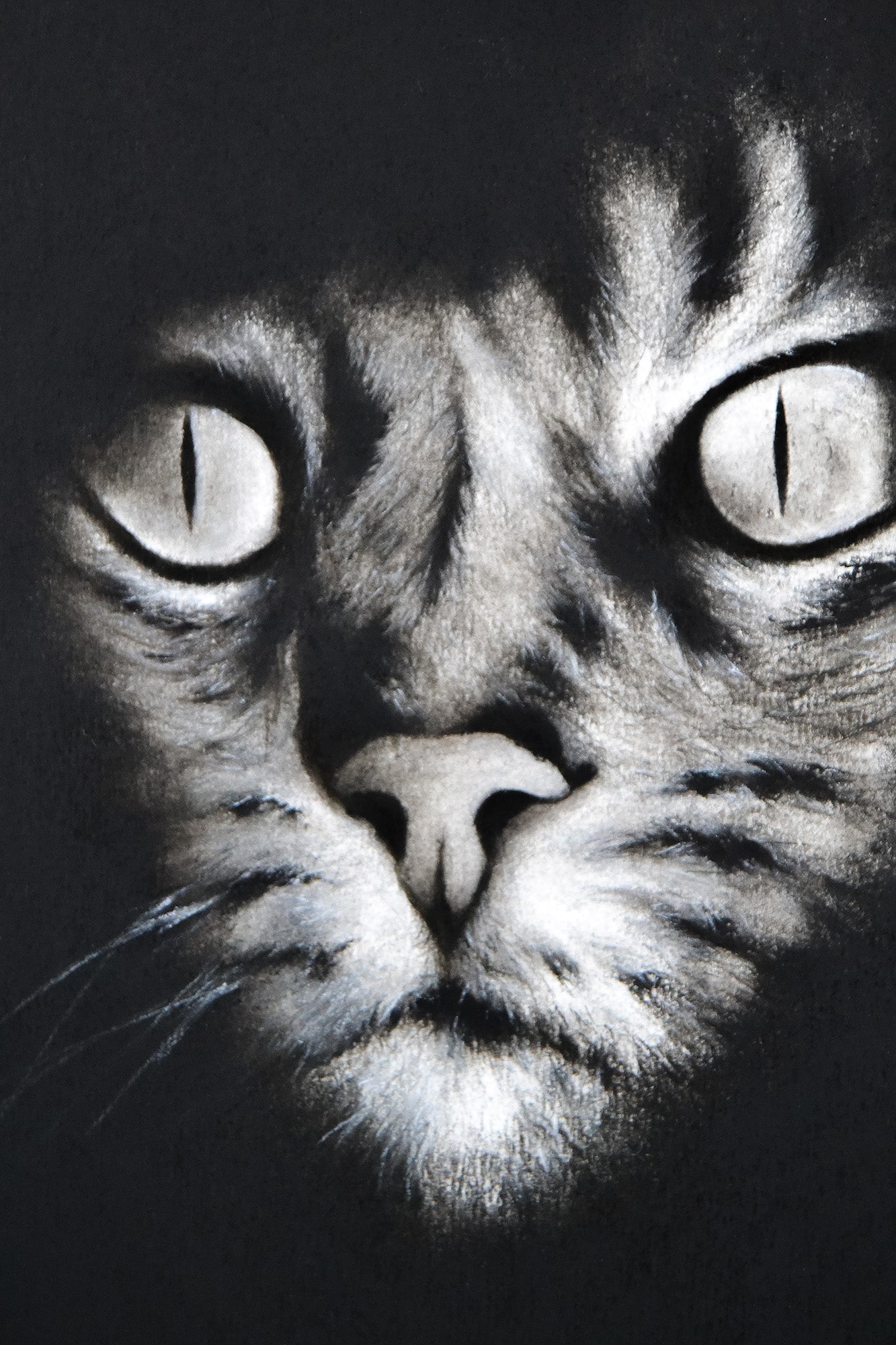 El Gato