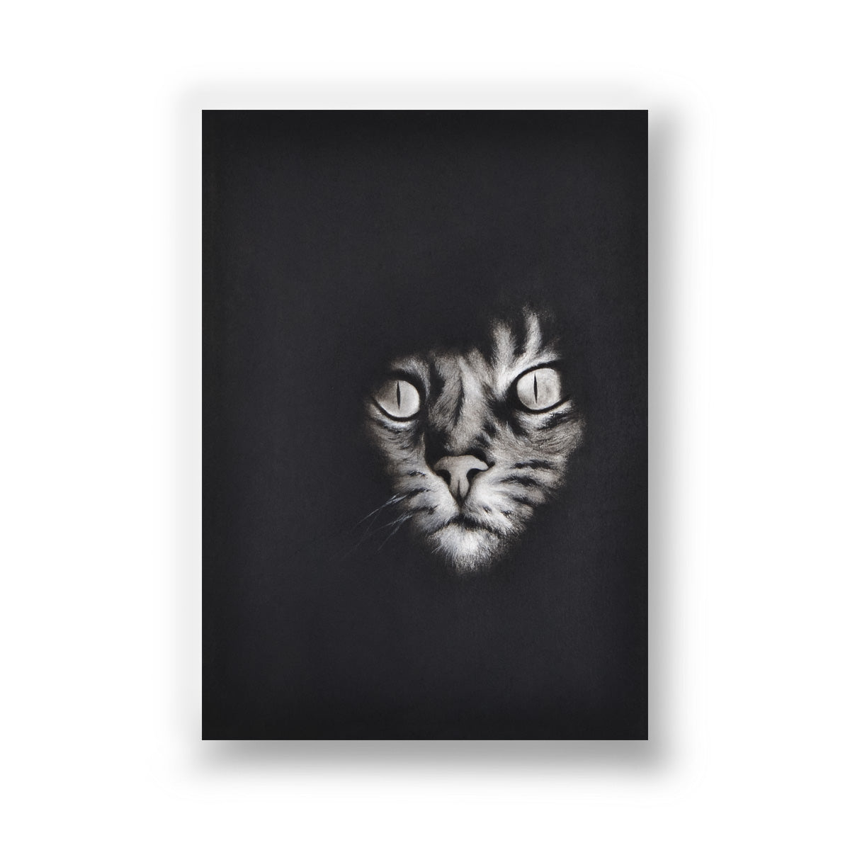 El Gato