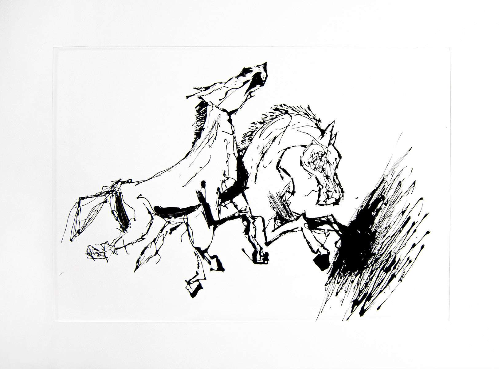WILD AND FREE - Davaro Art