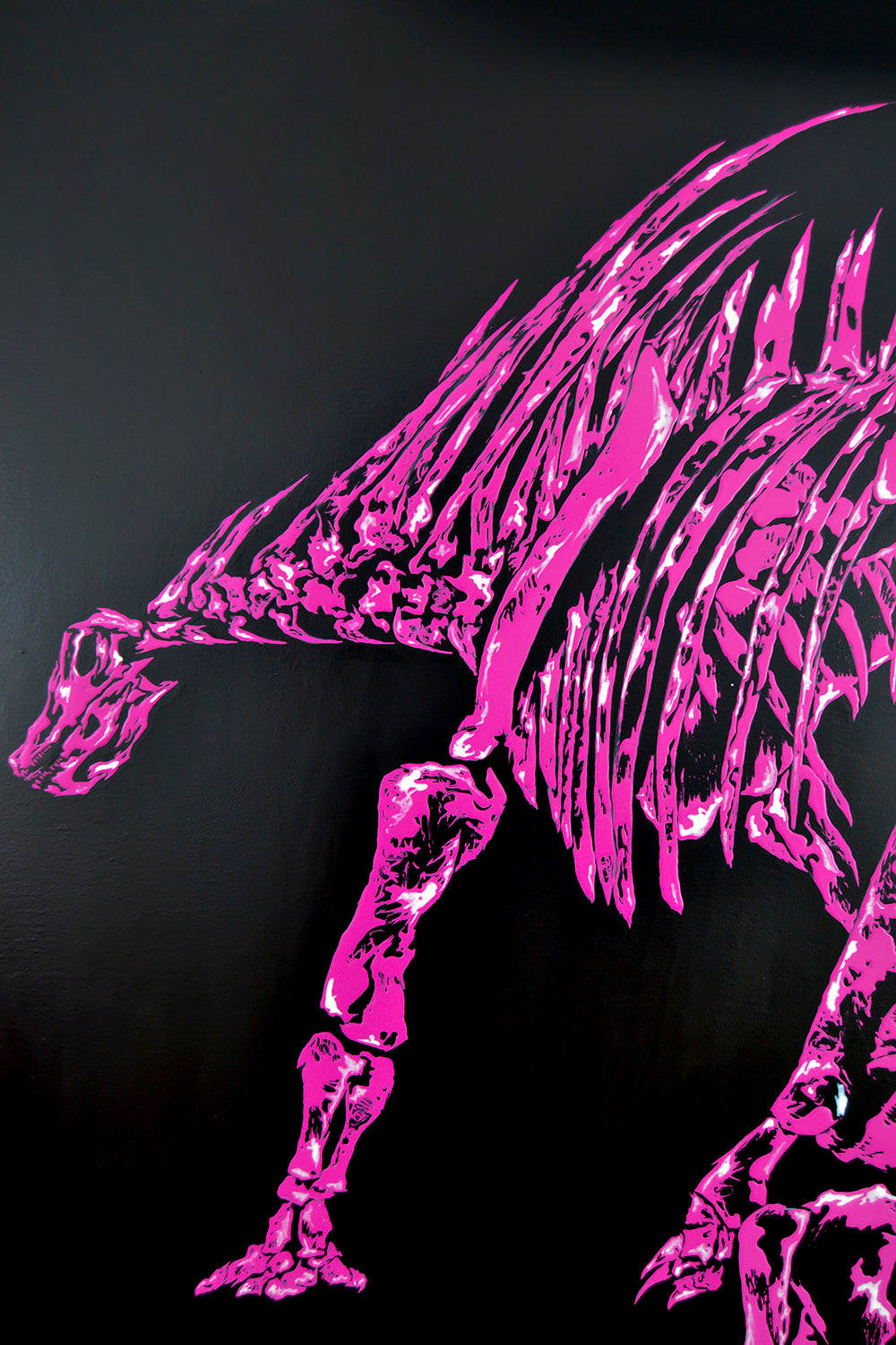 AMARGASAURUS