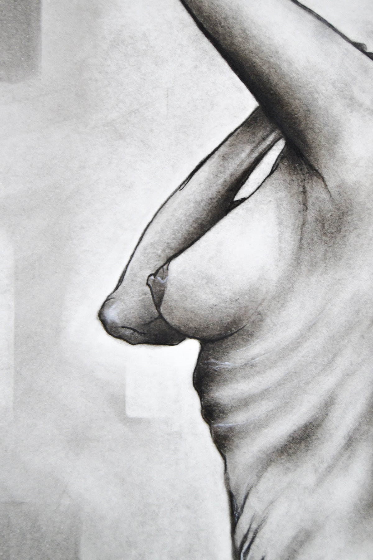Body and Reflection