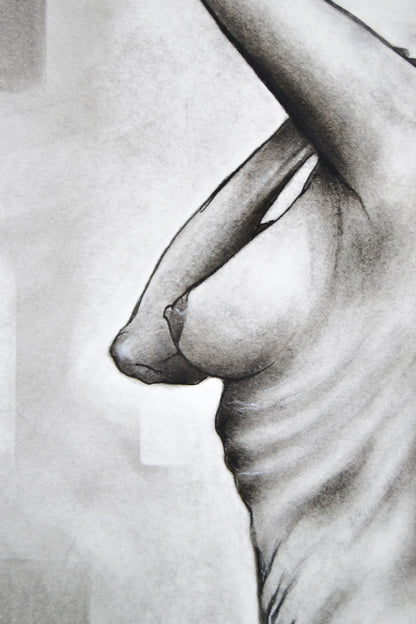 Body and Reflection