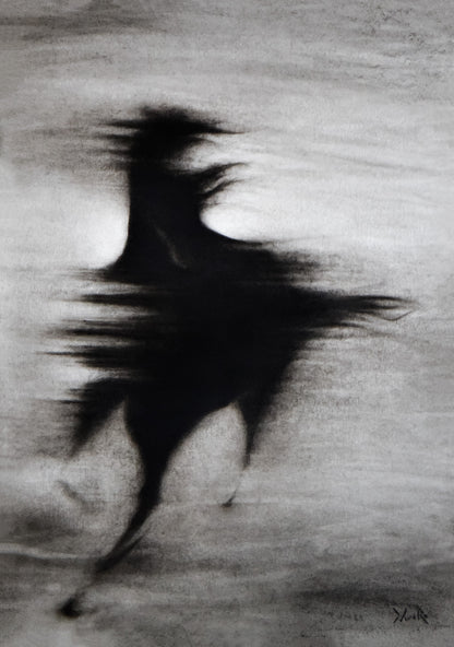 Corresombras