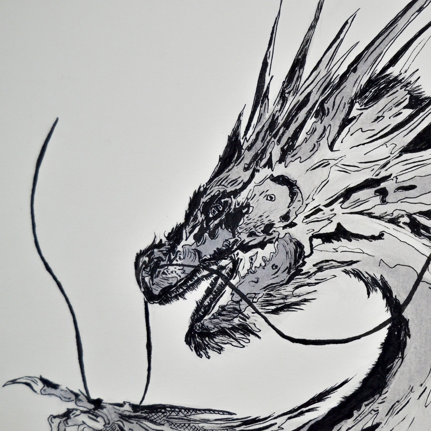 JADE DRAGON