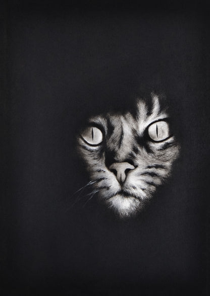 El Gato