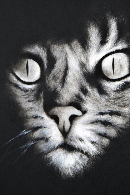 El Gato