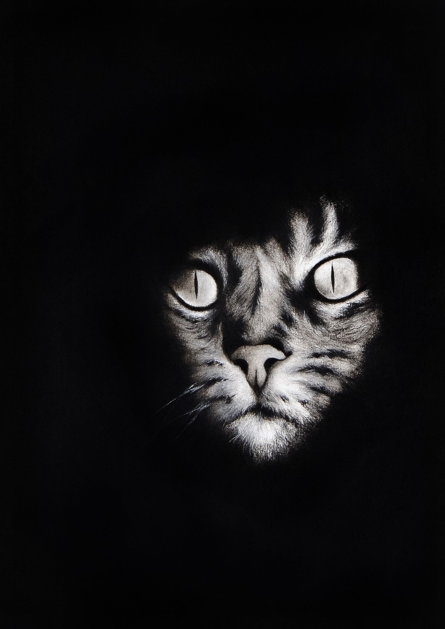 El Gato