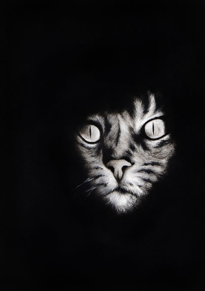 El Gato