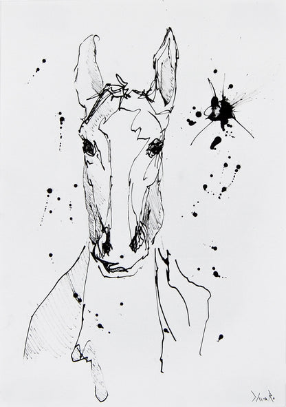 Equuleus