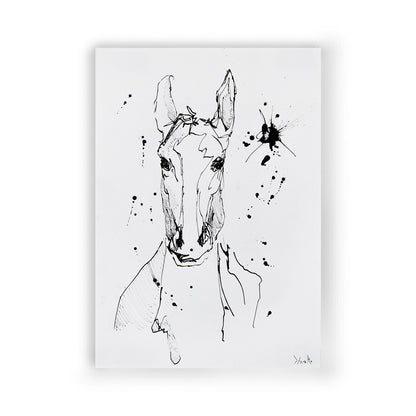 Equuleus