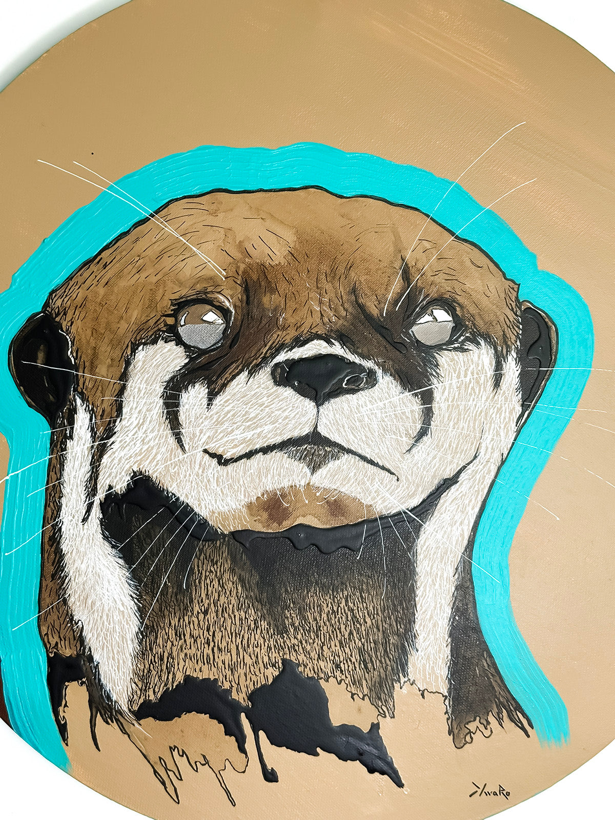 Nutria
