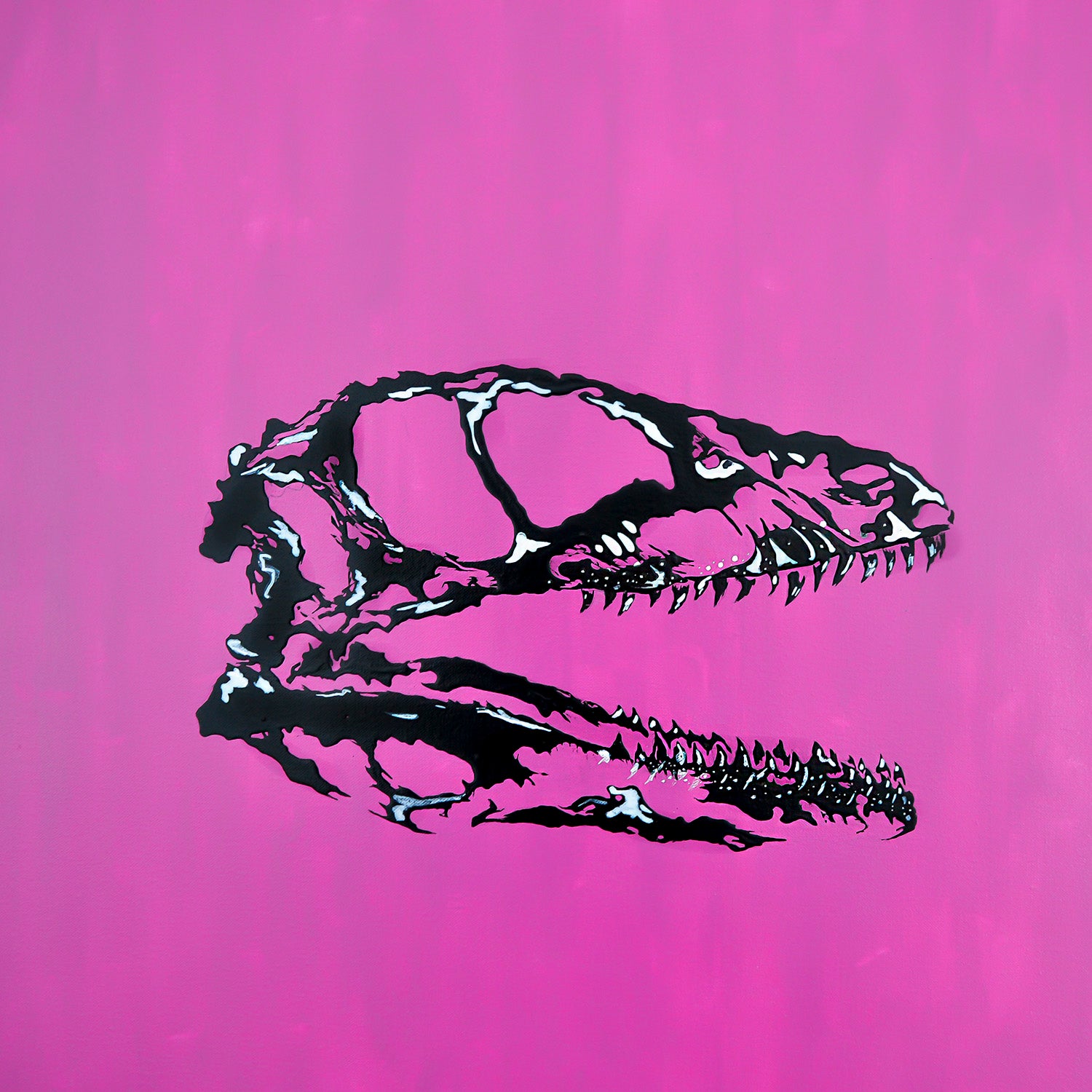 RAPTOR FAMILY