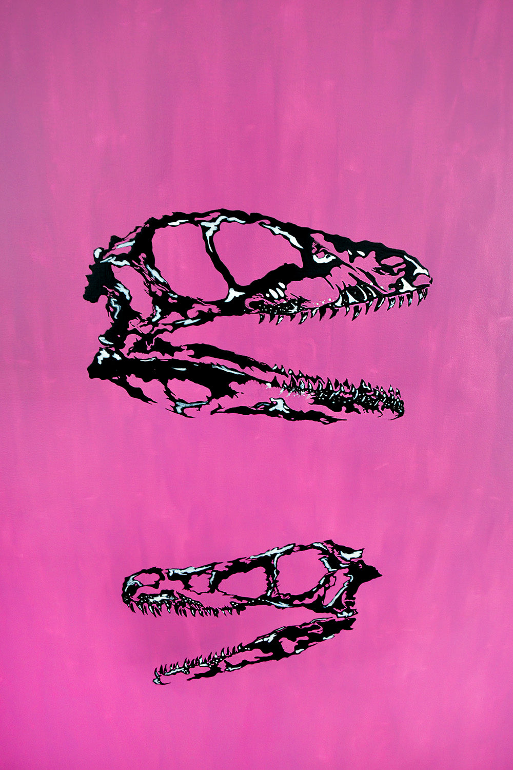 RAPTOR FAMILY
