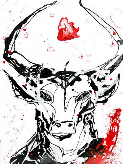 TORO